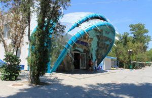 Аквариум «Акула»