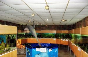 Аквариум «Черноморский» в Николаевке