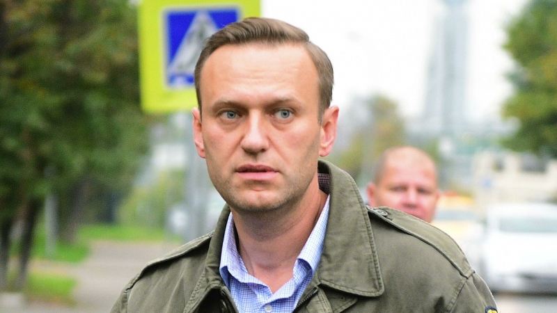МИД Германии прокомментировал заявления немецких депутатов по Навальному
