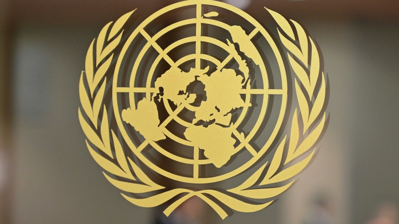 Россия воздержалась при голосовании за резолюцию ООН по ЦАР