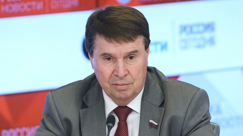Сенатор Цеков оценил слова Кравчука о "радикальных шагах"