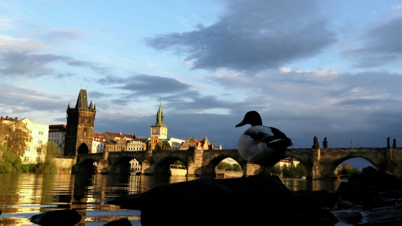 Чехия отказалась раскрывать данные о расследовании взрыва во Врбетице