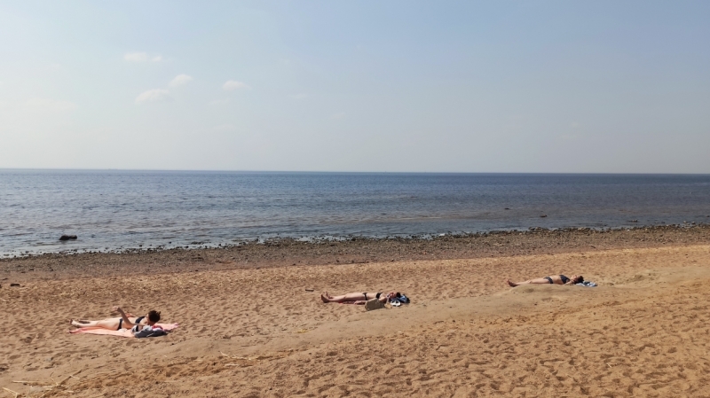 Роспотребнадзор перечислил пляжи Петербурга, где нельзя купаться