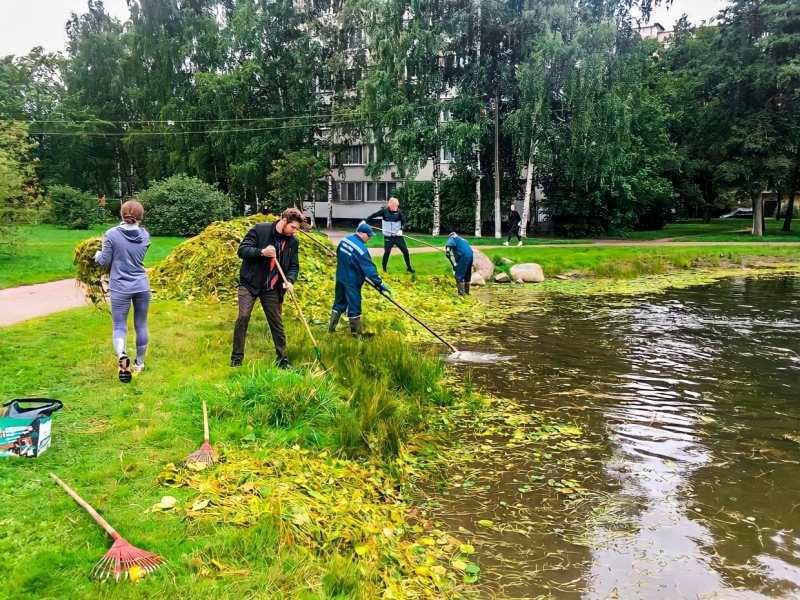Экологи и местные жители очистили пруд на Учительской улице