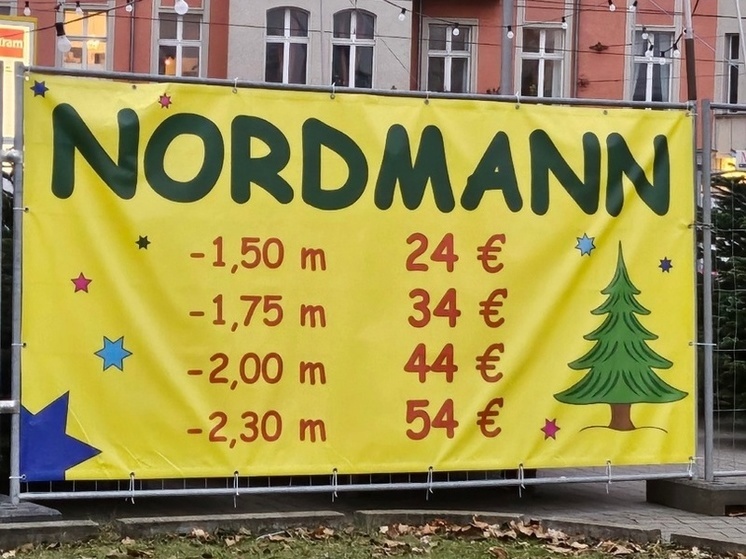 Двухметровая елка за 44 евро: в Сети показали цены на лесных красавиц в Берлине