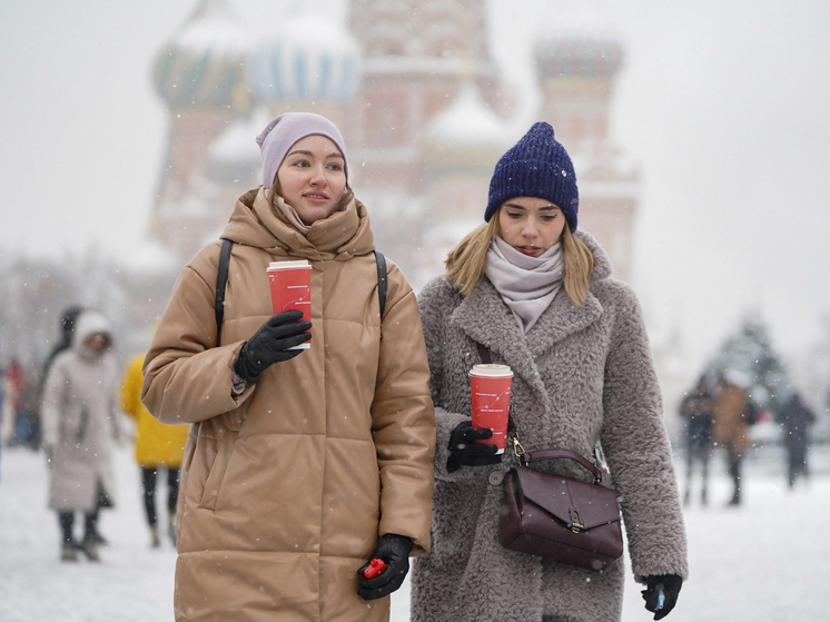 На Москву идут морозы до - 25 градусов: пешеходов предупредили о гололедице