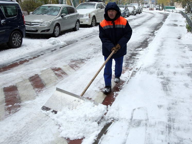 В этом году спрос на снегоуборочные лопаты достиг беспрецедентного уровня