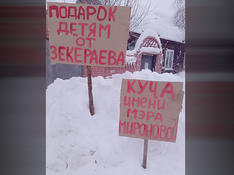 "Хрен им": избитая после жалобы на снег россиянка отказалась мириться