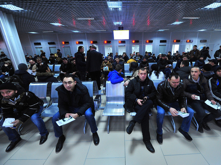 Выяснилось, как мигранты получают сертификаты о знании русского языка