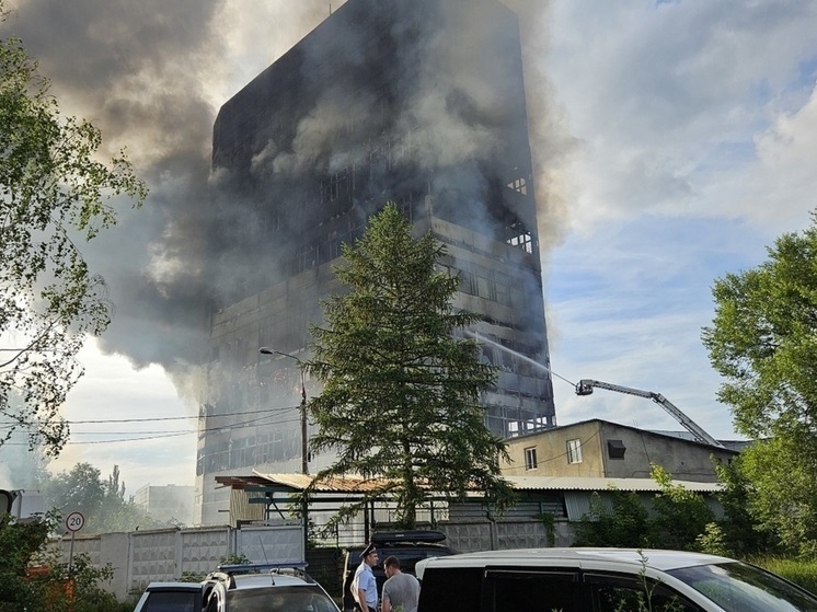 Владелица здания во Фрязино, где погибли люди, подозревалась в убийстве мужа-миллиардера