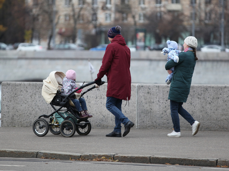 Почти 70% россиян высказались против налога на бездетность