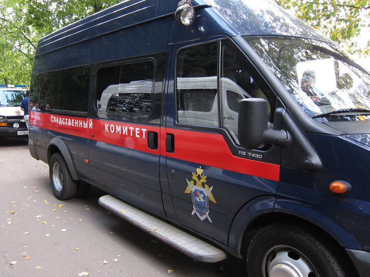 СК инициировал проверку обстоятельств получения гражданства родителями детей, осквернивших георгиевскую ленту