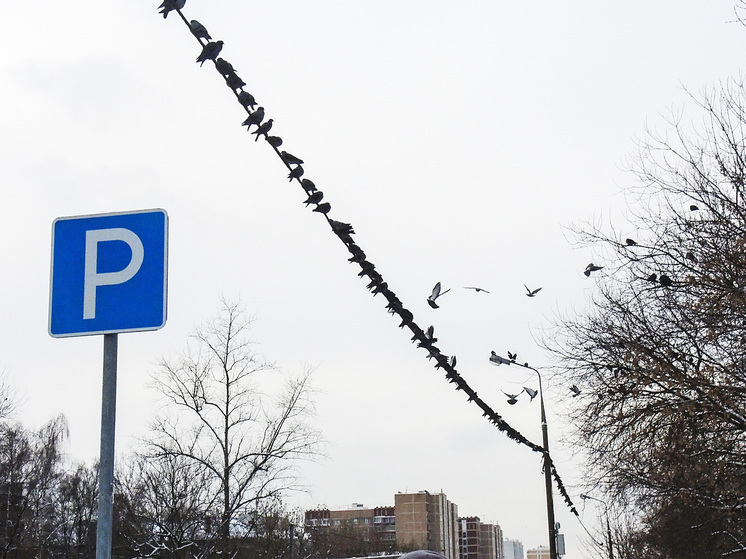 Столичные бизнес-центры начали сокращать количество паркингов: названа причина