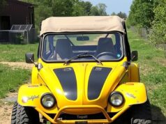 Выбор багги: советы экспертов