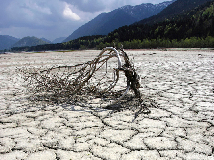 &laquo;Незначительно&raquo;: скептик смягчил скандальную риторику по климатическому вопросу