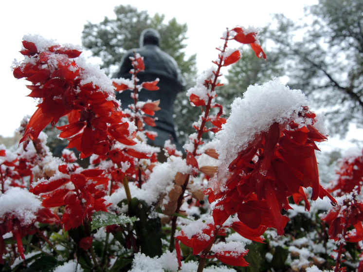 Синоптик спрогнозировал существенное похолодание в Москве