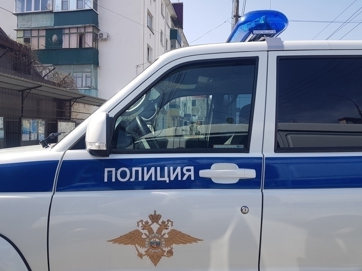 В РФ могут разрешить предъявлять автоправа в приложении MAX