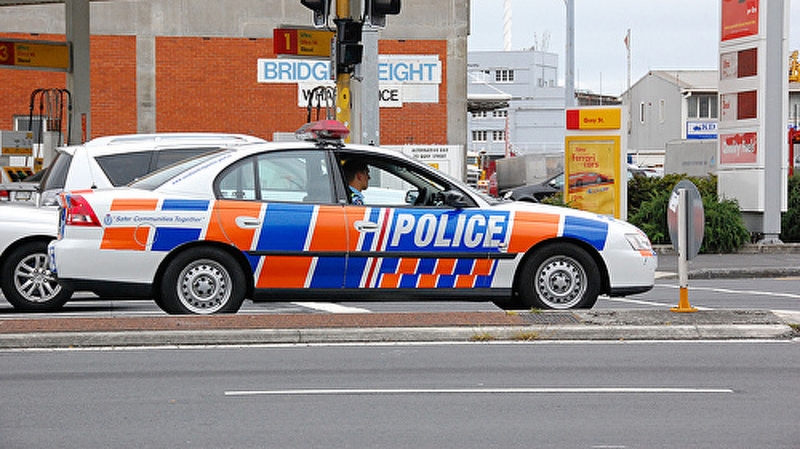 В Новой Зеландии задержали мужчину с топором, разбившего двери парламента