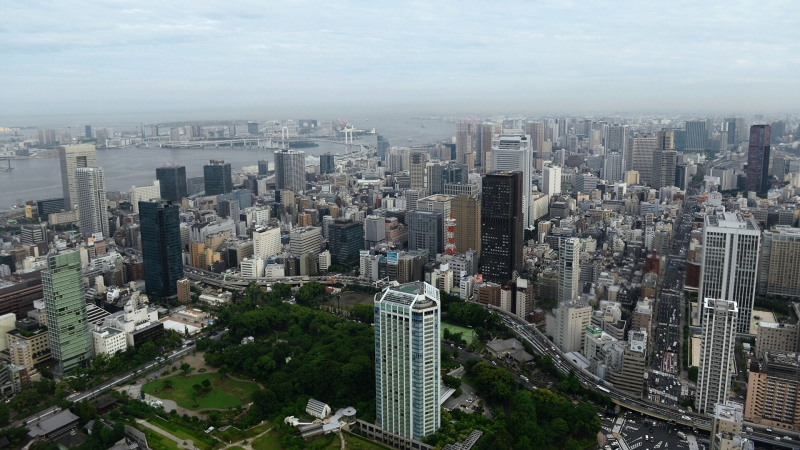 В Токио ультраправые проводят акции в "день северных территорий"